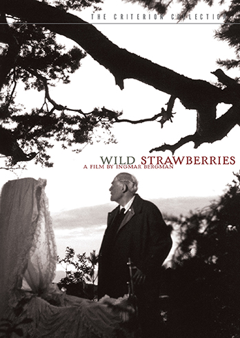 Wild Strawberries