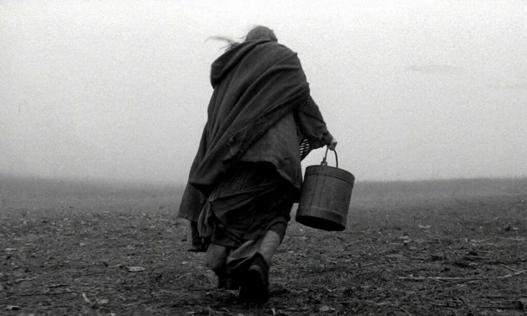 The Turin Horse