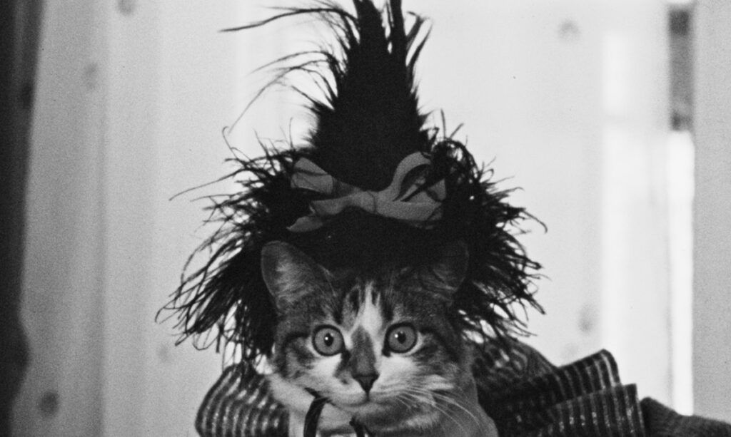 The Lovely Month of May